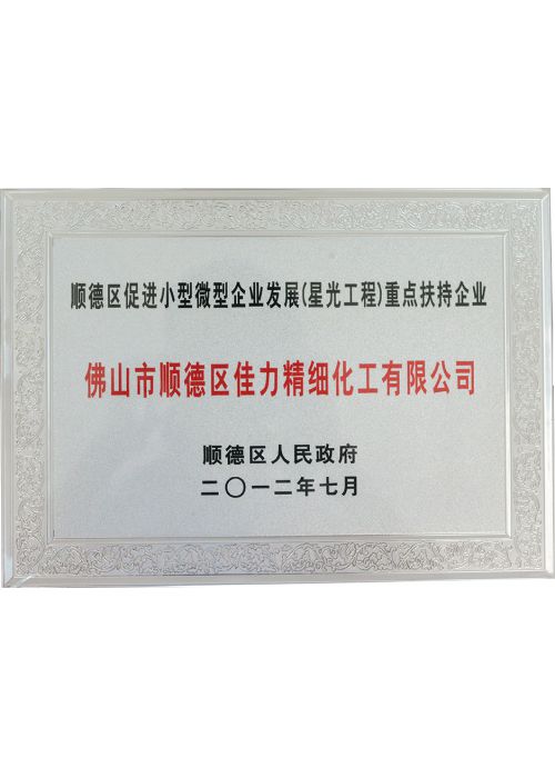 重點(diǎn)扶持企業(yè)